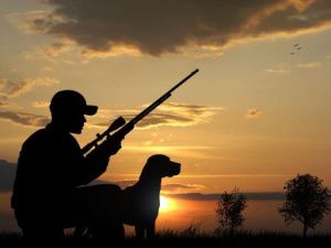 Экзамен для получения охотничьего билета будет введен с 2025 года