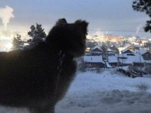 В Олёкминске ждут почтовых посылок месяцами