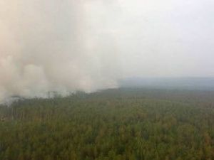 Синоптики заявили, что небольшие дожди в Якутии и Красноярском крае не повлияют на пожары