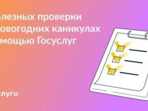 Проверьте важную информацию о себе на Госуслугах