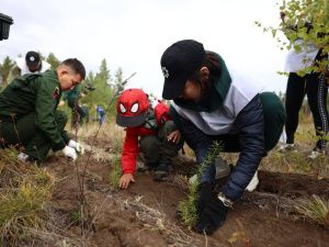 Глава Якутии принял участие в ежегодной всероссийской акции «Сохраним лес»