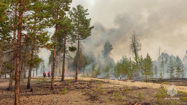В районах Якутии сохраняется лесопожарная опасность