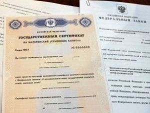 В Якутии аферисты обналичили маткапитал 60 женщин, создав фиктивные фирмы