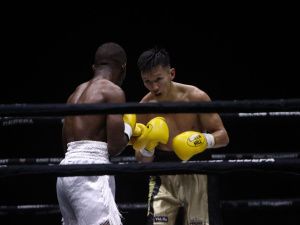 Без единого поражения. Якутские боксёры завоевали титулы вечера профбокса «Вызов Севера»