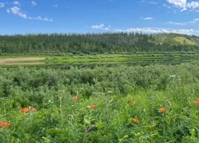 В Якутии в честь Дня Сардааны проводят онлайн-выставку