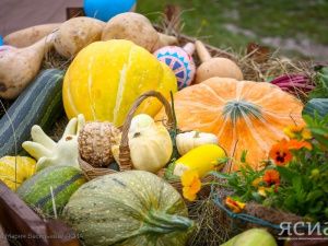 Много витамина молодости: десять причин есть больше тыквы