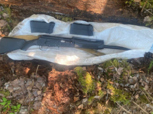 Охотничье ружье спрятано в лесу: как его нашли и что будет с преступником