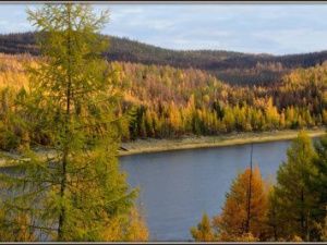 Роспотребнадзор: вода в реке Вилюй пригодна для питья