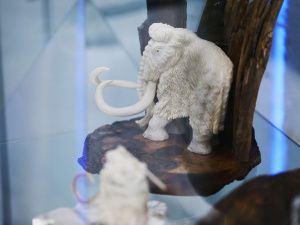 Якутия привезла на ВЭФ сокровищницу вечной мерзлоты