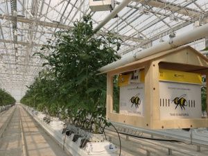 В Якутии продолжен приём предпринимателей в рамках образованной временной приемной Генеральной прокуратуры Российской Федерации 