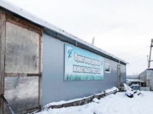 Правительственной комиссии не удалось найти доказательств жестокого убийства собак в Якутске