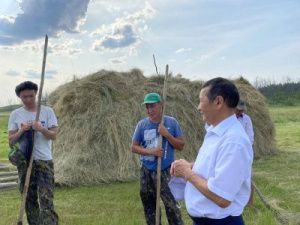 В Чурапчинском улусе приступили к выполнению плана заготовки сена в сложных условиях