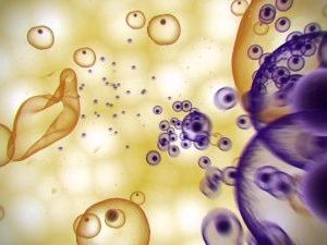 В Якутии периодически регистрируются случаи «импорта» малярии