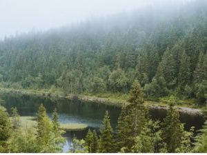 В Якутии впервые за продолжительный период нет природных пожаров