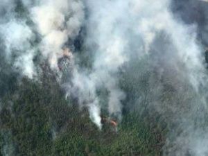 В Якутии действует 97 природных пожаров