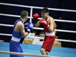 Победители чемпионата Якутии по боксу получат пояса и денежные призы