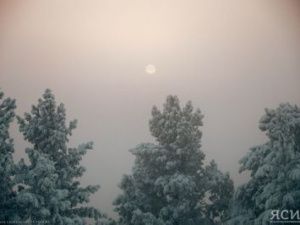 31 января у Быка холода притупляются рога. Морозы начинают ослабевать