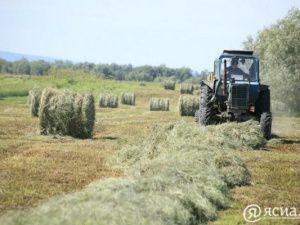 В Якутии заготовлено более 23 тысяч тонн сена