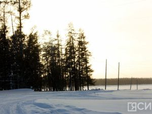 Якутяне могут получить 30%-ную скидку на древесину