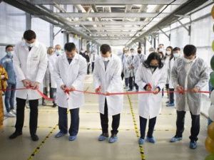 В Якутске открыли третью очередь круглогодичного тепличного комплекса «Саюри»