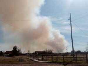 "Работы по тушению лесных пожаров проводятся. Все под контролем"