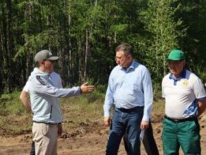 В Якутии с рабочим визитом находится замруководителя Рослесхоза