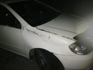 Дама с собачкой попала в ДТП