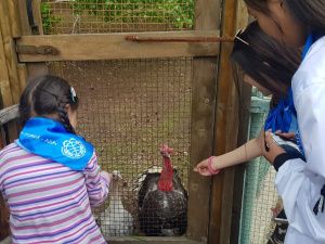 Дети многодетных и малоимущих семей города Якутска посетили зоопарк «Орто Дойду»