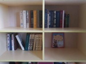 Семейный центр «Тэрчи» просит помочь книгами