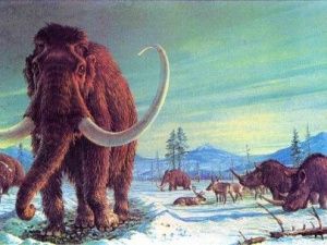 Ученые впервые изучили микрофлору древнейших мамонтов Земли