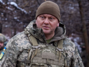 Что стоит за возведением вокруг Киева "Линии Залужного"?