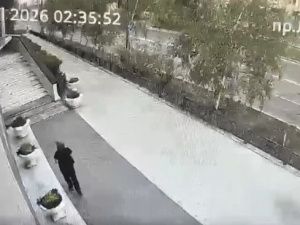 Женщина в Якутске украла 33 куста цветов с клумбы после ссоры с сожителем