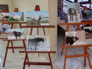 На более чем пять сотен увеличилось поголовье якутского скота за четыре года