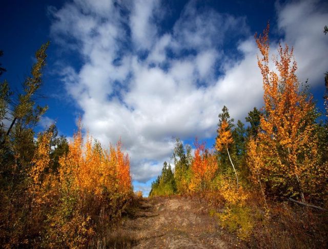 В Якутии отменен особый противопожарный режим