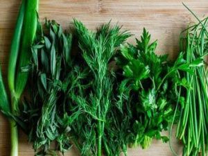 На «дальневосточных гектарах» в Мирнинском районе появился тепличный комплекс