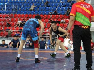 Первенство Якутии по вольной борьбе пройдет в селе Борогонцы