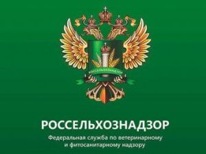 В Якутии приостановлена деятельность крупного молокоперерабатывающего предприятия