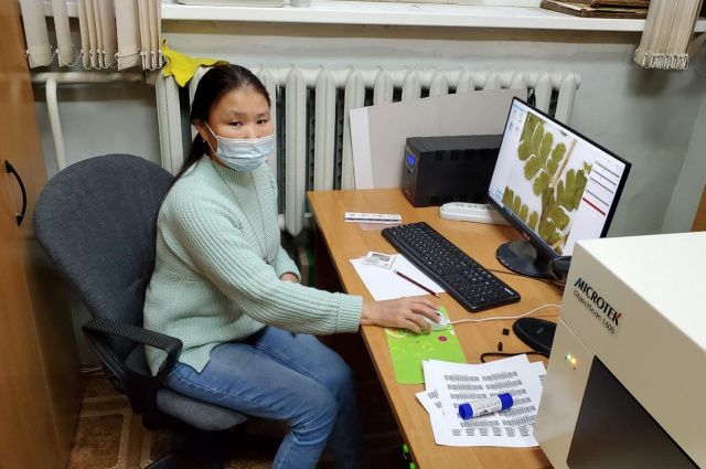 В Якутии начата оцифровка уникальной биологической коллекции