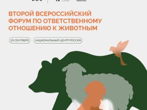 В России ищут лучшие проекты, меняющие отношение общества к животным