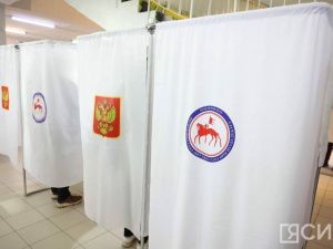 Комитет Госдумы одобрил изменения в закон о выборах президента