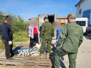 Депутатская жадность: Криминальный бизнес вместо служения народу