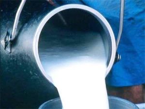 В Гордуме предложили увеличить объемы сдачи молока в агропоясе Якутска