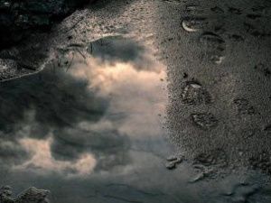 В Мегино-Кангаласском улусе обнаружили загрязненный нефтепродуктами земельный участок