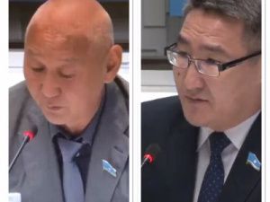 Спикер-лекционист и экшн-шоу от Эверстова