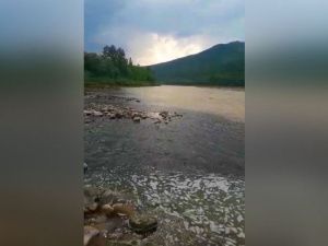 Минэкологии Якутии: Госинспекторы выехали по сообщению о загрязнении реки Большой Ыллымах в Алданском районе