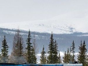 «Железные дороги Якутии» планируют открыть билетную кассу в Якутске