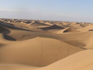 В Якутии украли песок на 4 млн рублей