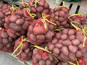 В Якутии волонтеры помогают семьям участников СВО в уборке урожая