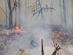 В Нерюнгринском районе введен режим ЧС