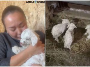 Машенька родила тройню